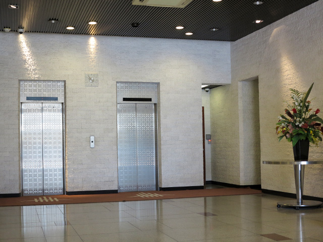 Entrance elevator